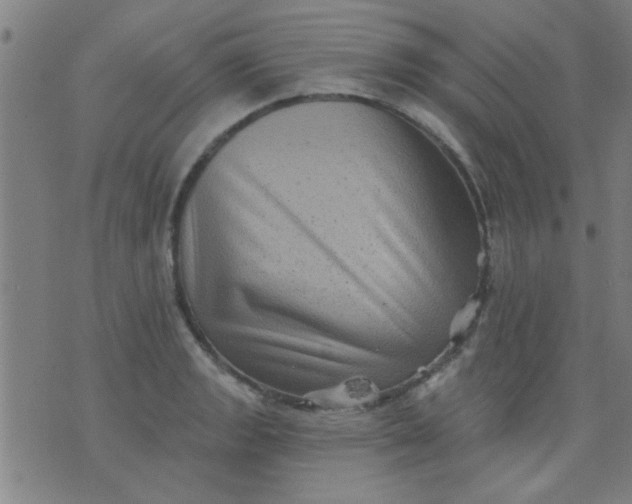 X0000076101133200610061700