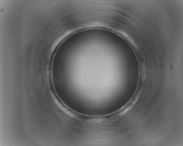 X0000076101134200610061700