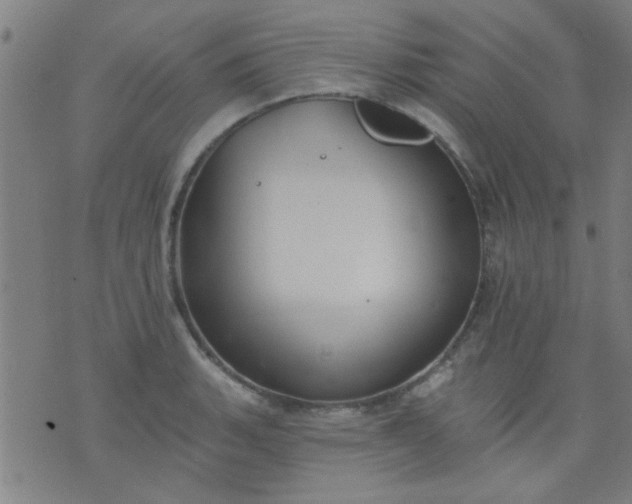 X0000076101135200610061700