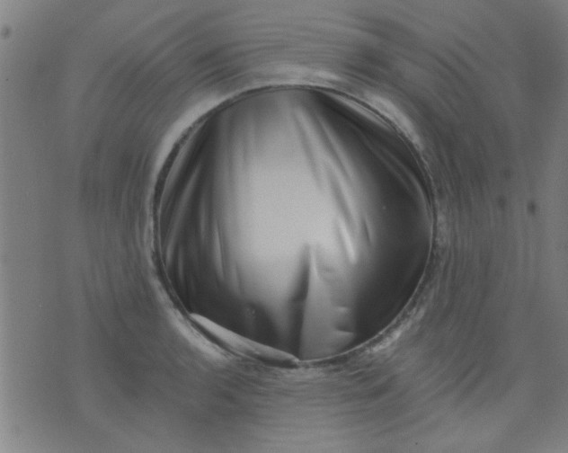 X0000076101136200610061700