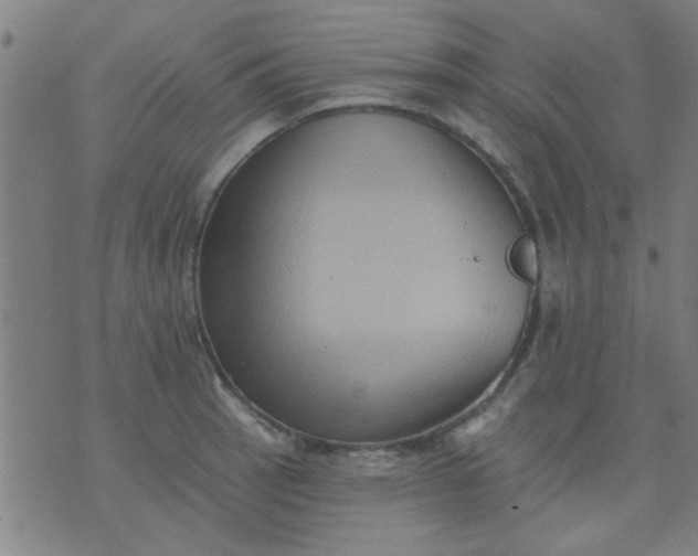 X0000076101137200610061700