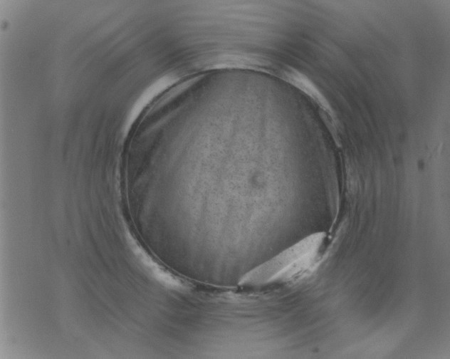 X0000076101138200610061700