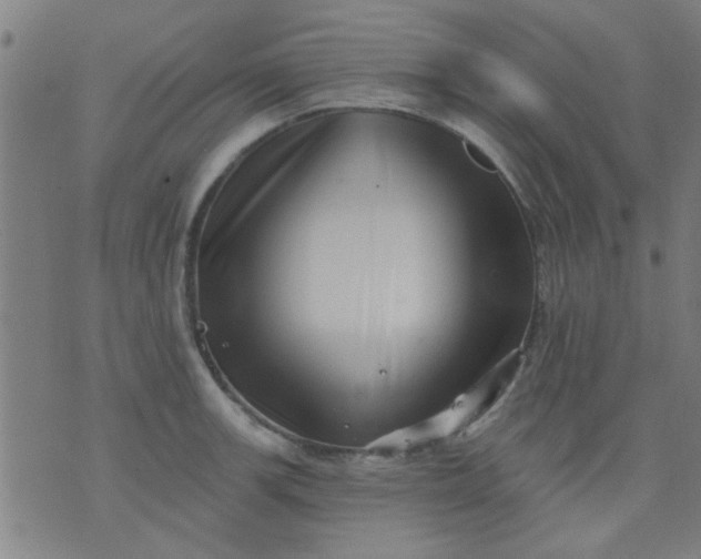 X0000076101139200610061700