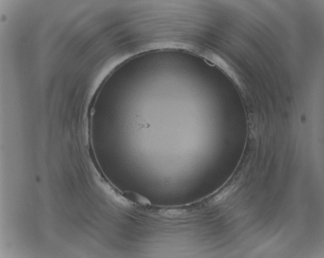 X0000076101140200610061700