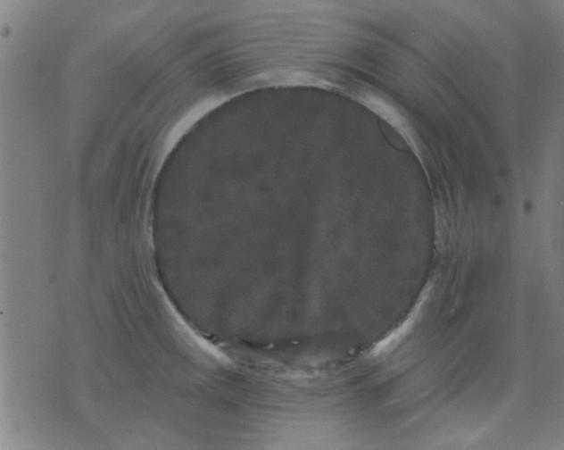 X0000076101141200610061700