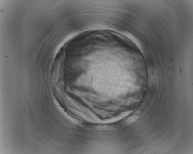 X0000076101142200610061700