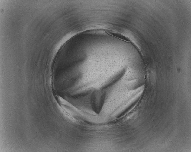 X0000076101143200610061700