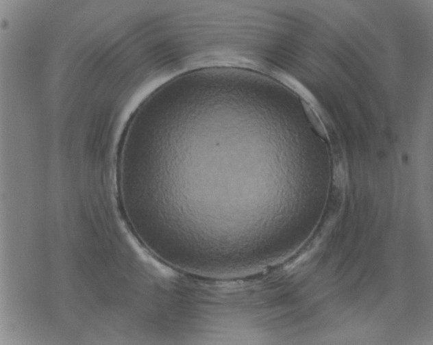 X0000076101144200610061700