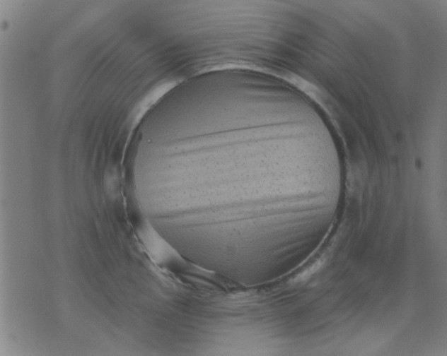 X0000076101145200610061700