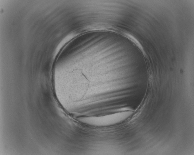 X0000076101146200610061700