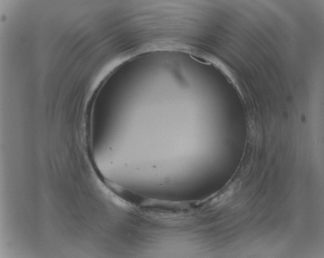 X0000076101147200610061700