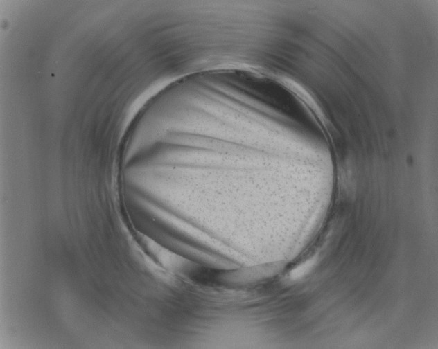 X0000076101149200610061700