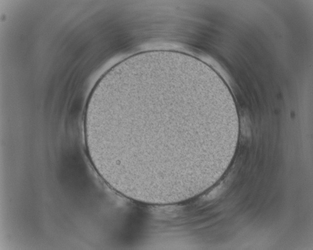 X0000076101150200610061700