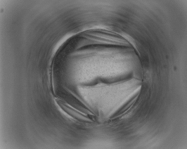 X0000076101151200610061700