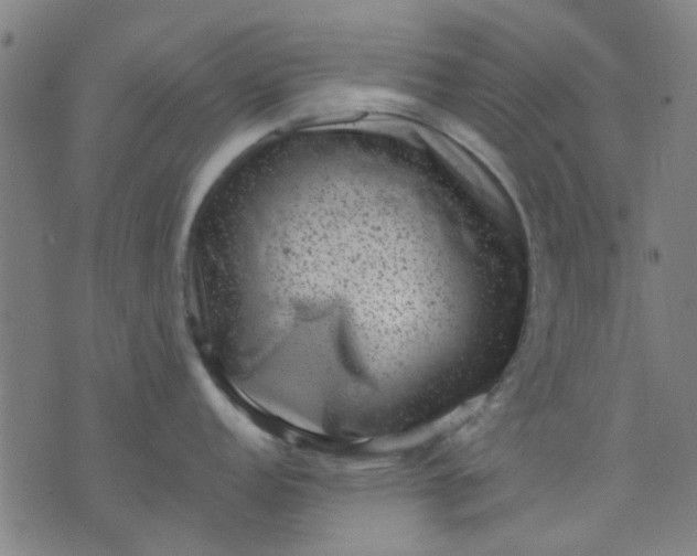 X0000076101152200610061700