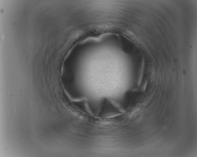 X0000076101153200610061659