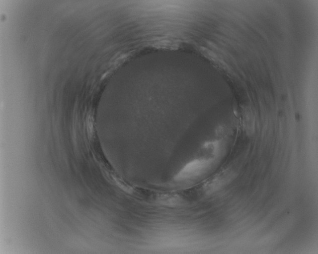 X0000076101154200610061659