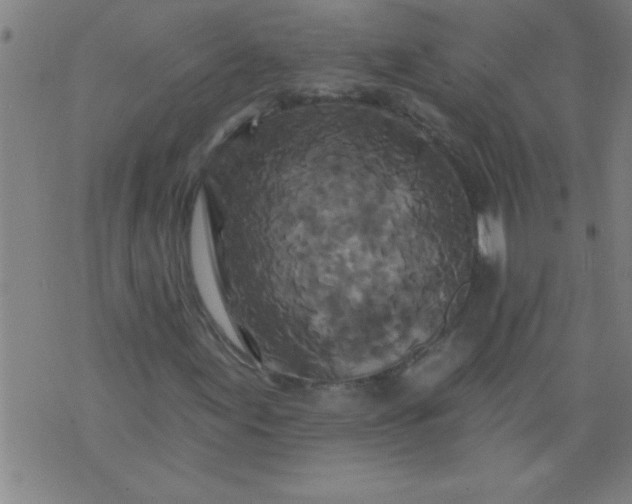 X0000076101155200610061659