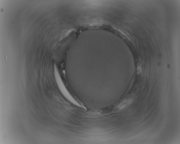 X0000076101156200610061659