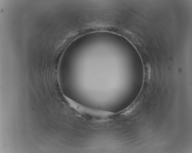 X0000076101157200610061659