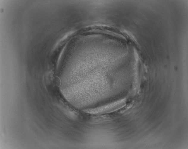 X0000076101159200610061659