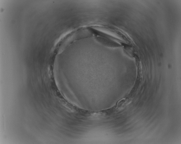 X0000076101160200610061659