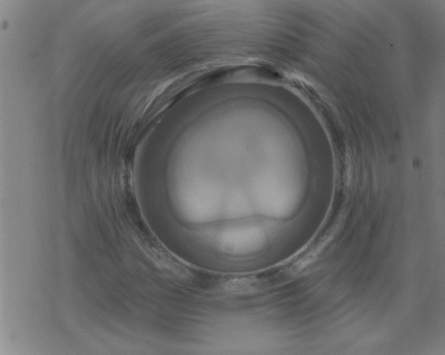 X0000076101161200610061659