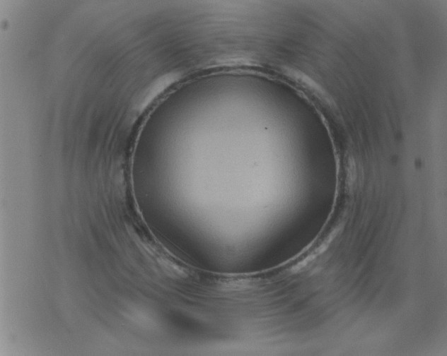 X0000076101162200610061659