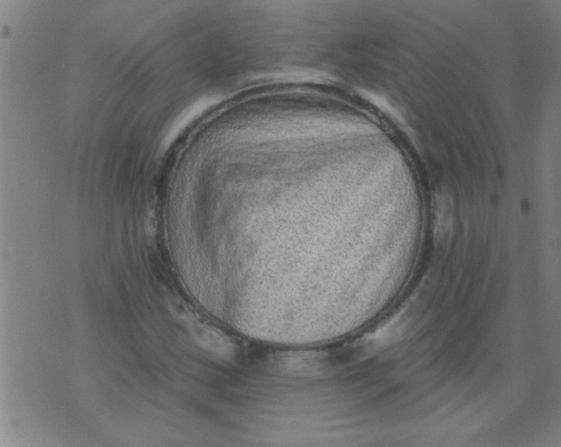 X0000076101163200610061659