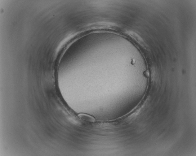 X0000076101164200610061659