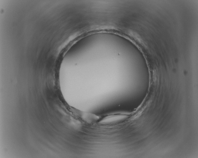 X0000076101165200610061659