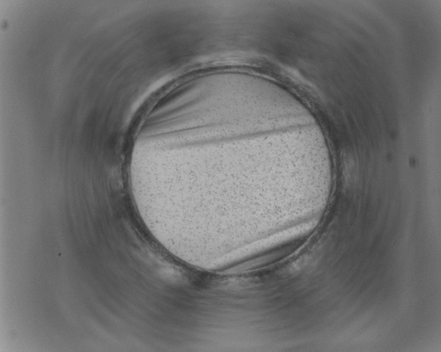 X0000076101166200610061659