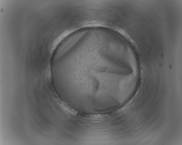 X0000076101167200610061659