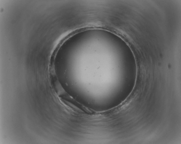 X0000076101168200610061659