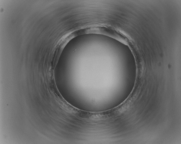 X0000076101169200610061659