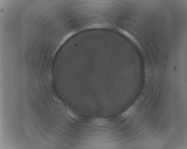 X0000076101170200610061659