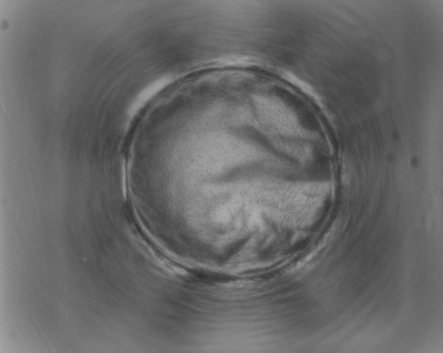 X0000076101171200610061659