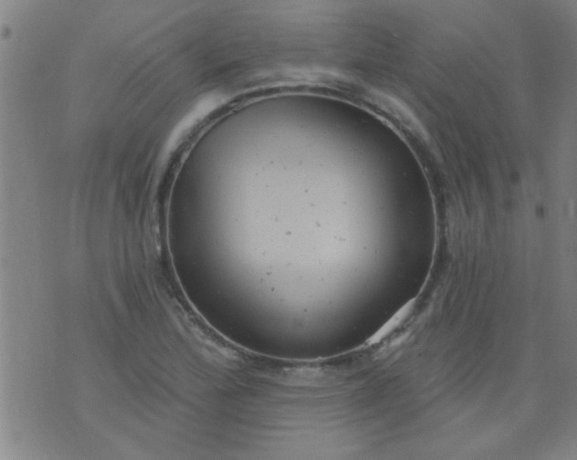 X0000076101172200610061659