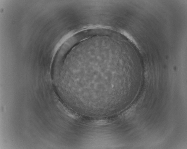 X0000076101173200610061659