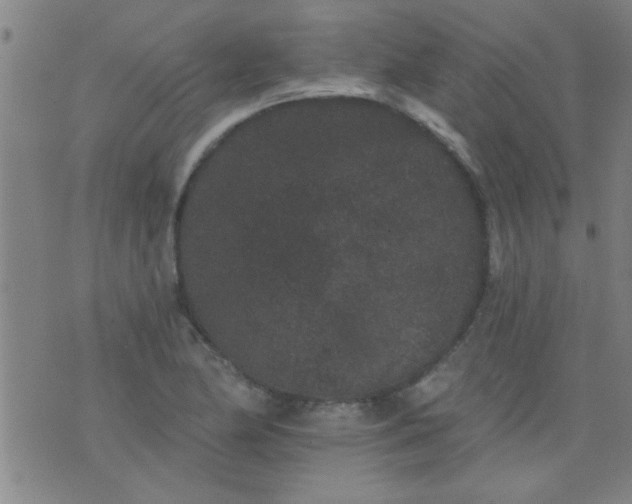 X0000076101174200610061659