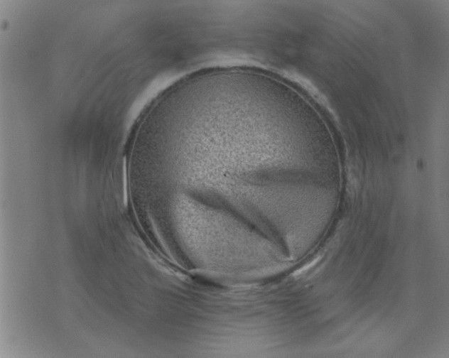 X0000076101175200610061659