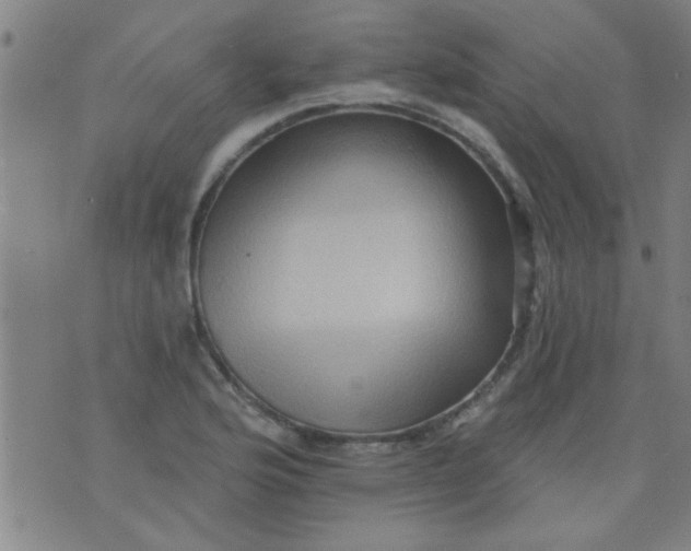 X0000076101176200610061659