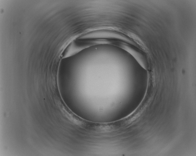 X0000076101177200610061659