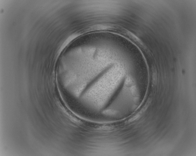 X0000076101178200610061659