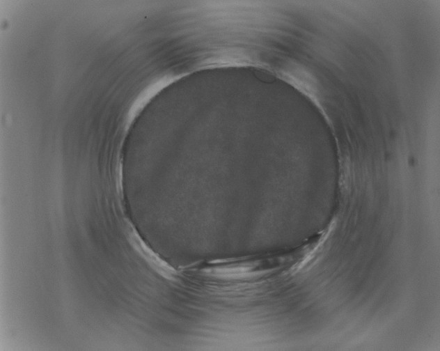 X0000076101179200610061659