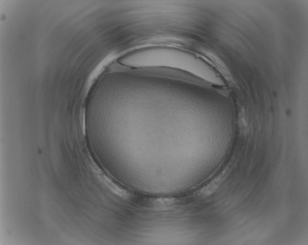 X0000076101180200610061659