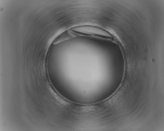 X0000076101181200610061659