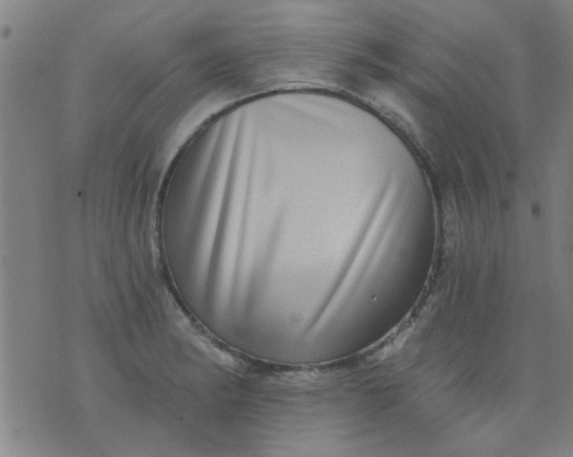 X0000076101182200610061659