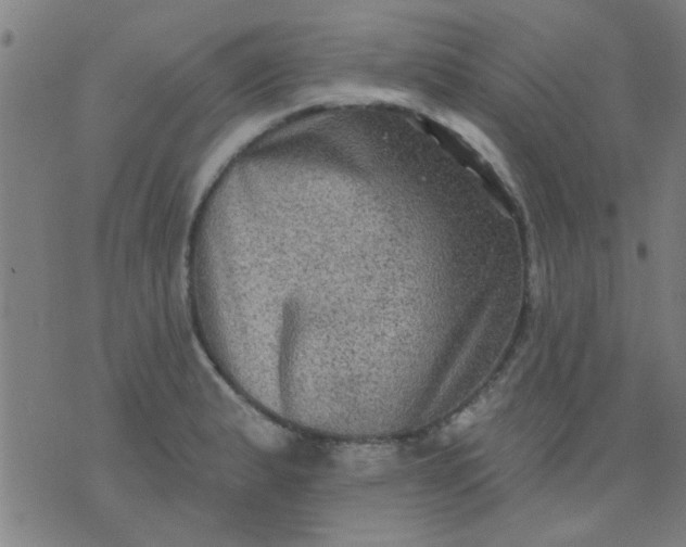 X0000076101183200610061659