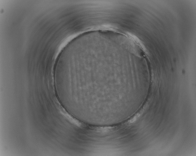 X0000076101184200610061659